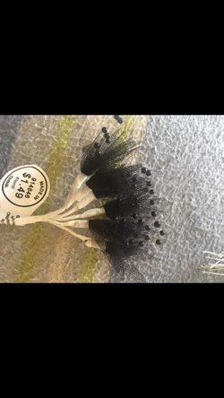 Black Flower Sprays