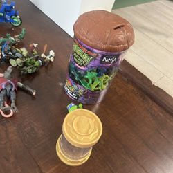 Teenage Mutant Ninja Turtles