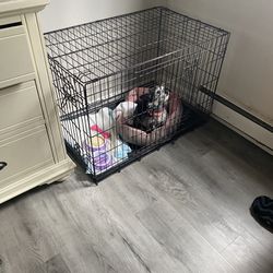 Big Dog Cage For Sale 