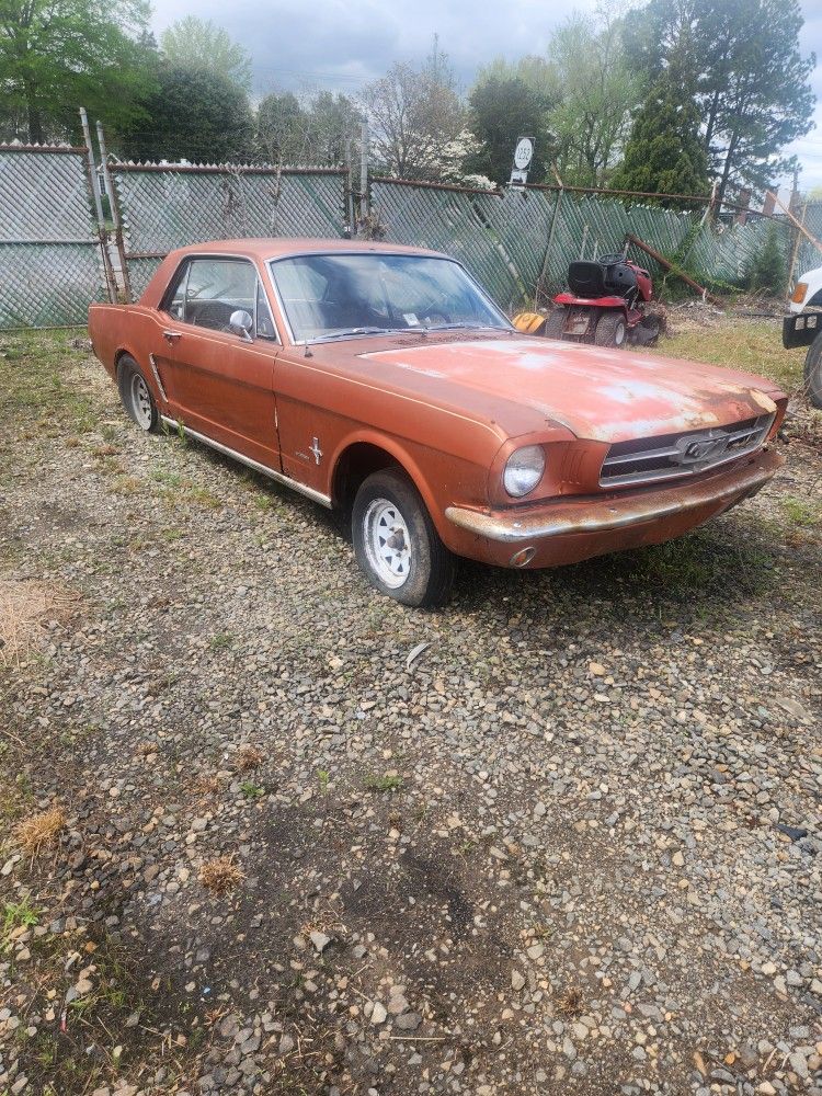 Mustang Project Car