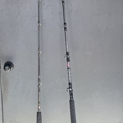 Penn Ally ll West Coast Fishing Rod 