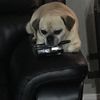 Chugg-life