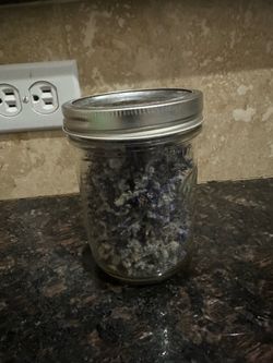Borage - Herbal tea Home Grown 16 oz jar Herbalism apothecary holistic