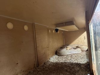 8x2x2 Birch Enclosure For Big Burmese Python