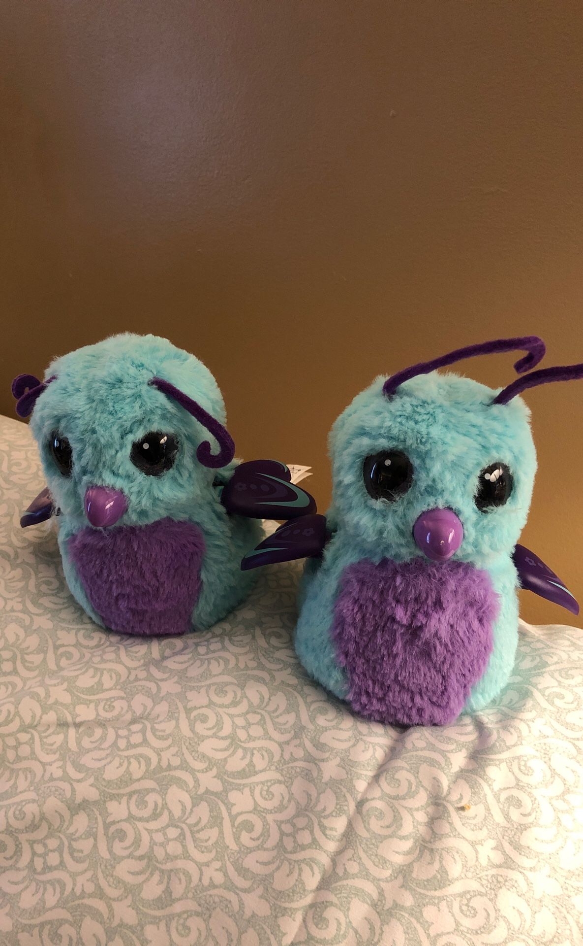 Two hatchimals