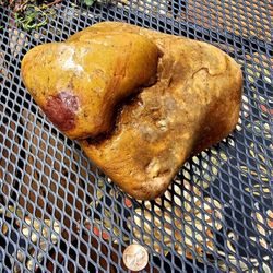 Huge Piece Of Agatized Yellow,red And green Jasper From Yellowstone River