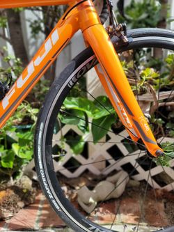 Fuji Roubaix LE three.0 Performance Bike Exclusive for Sale in San