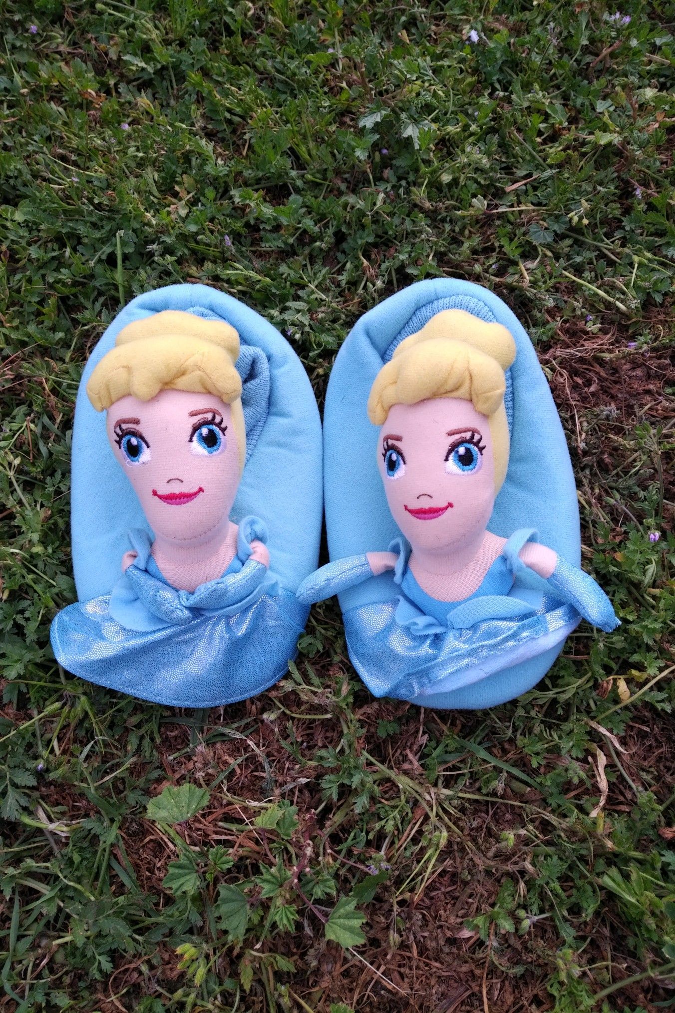 Disney cinderella slippers