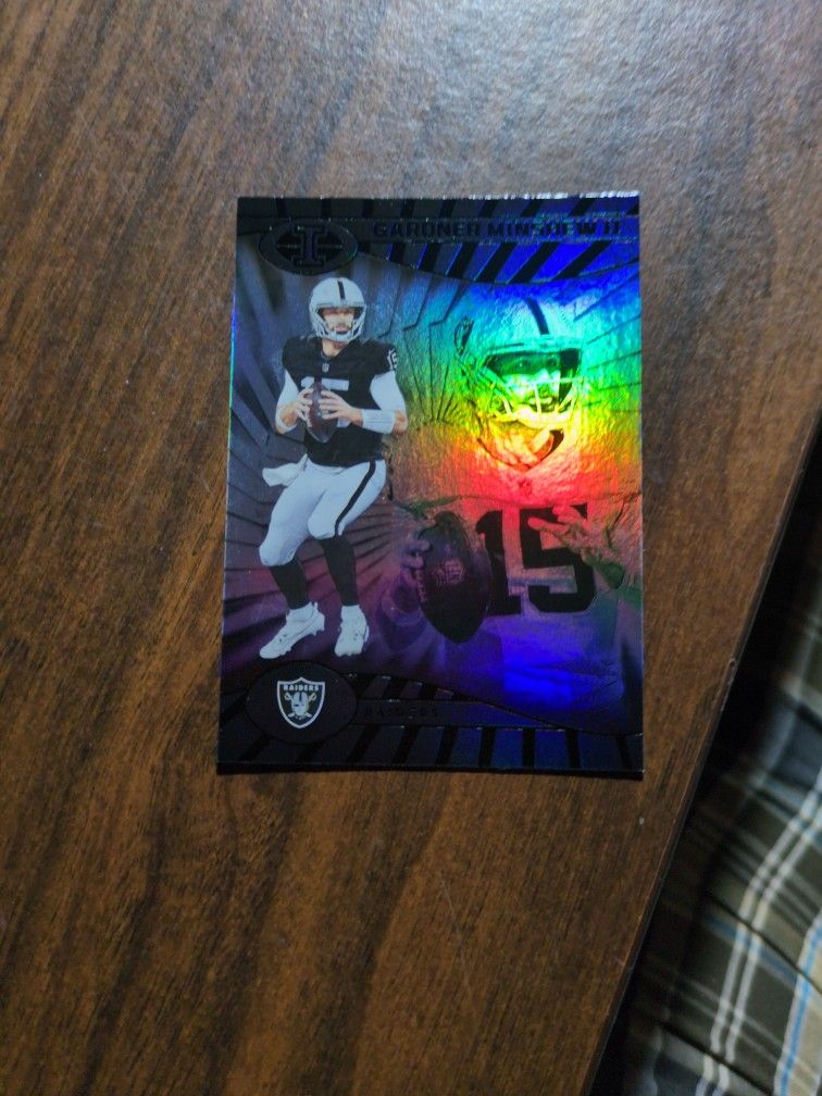 GARDNER MINSHEW.