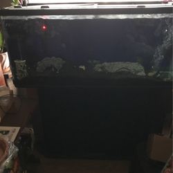 55 Gallon Tank And Stand W/ Accessories No Filter 