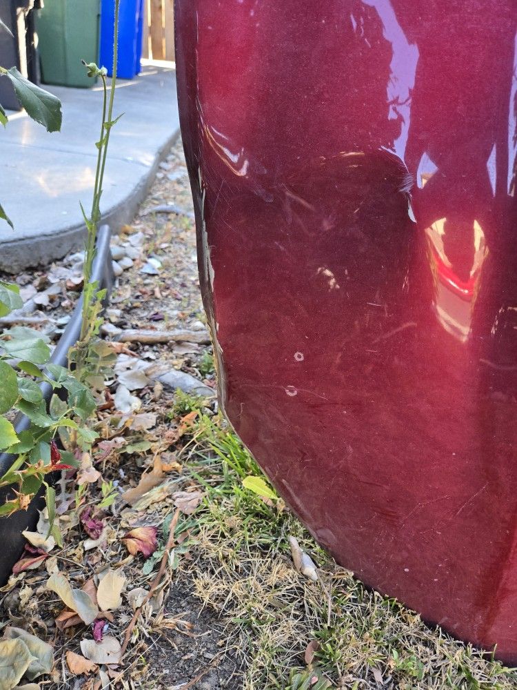2019 Mustang Gt Hood