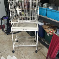 Bird Cage 