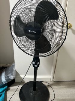 Fan