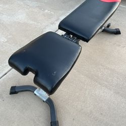 Bowflex Adjustable Weight Bench 