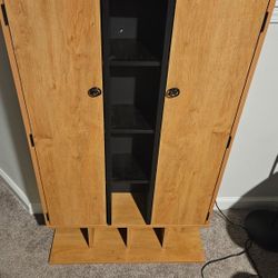 Video Game/DVD  case