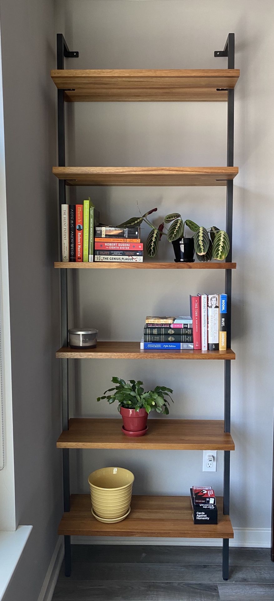 CB2 Wall Mounted Bookcase