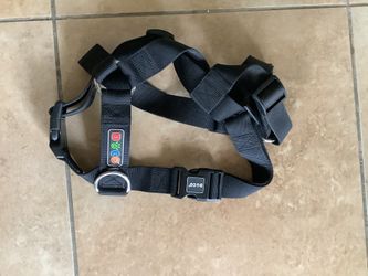 PECHERA PARA PERRO GRANDE