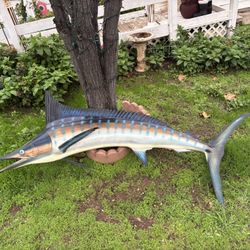 Taxidermy Marlin