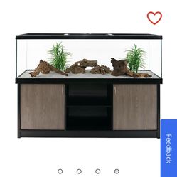 125 Gallon Aquarium 