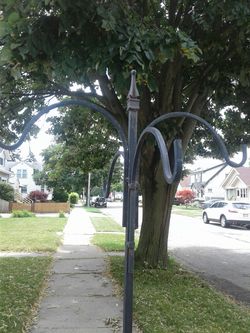 Shepard hook