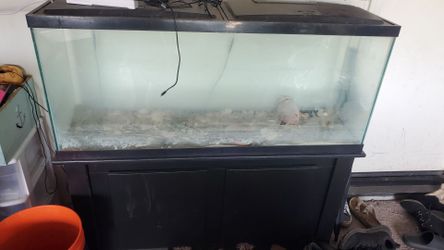 55 gallon tank and stand and supplies