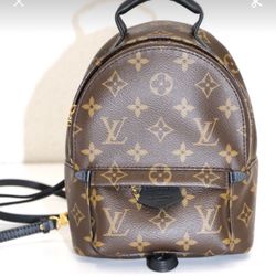 Louis Vuitton Monogram Canvas Mini Palm Springs Backpack