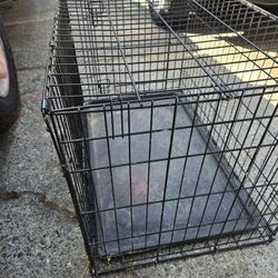 Large Wire Dog Cage