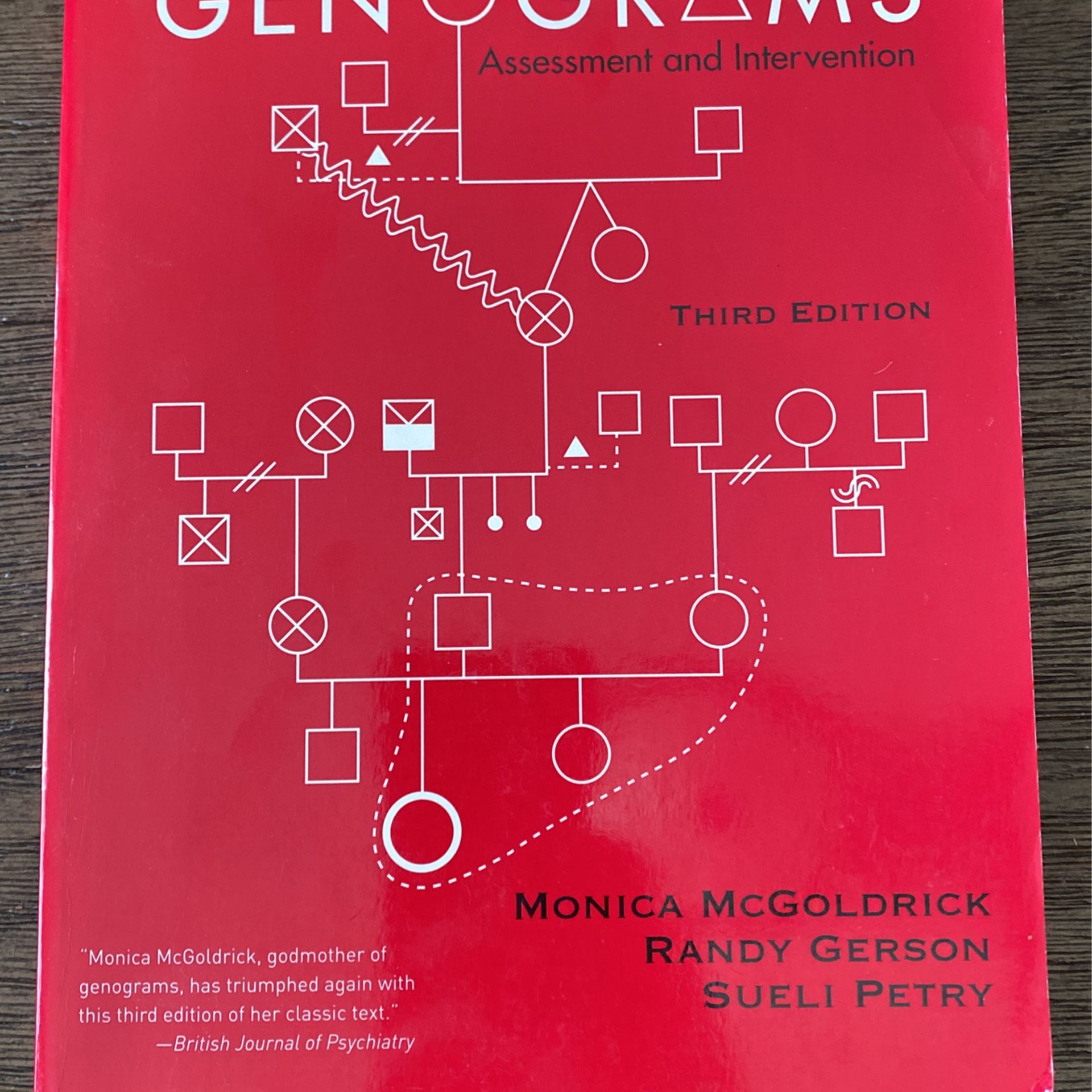 Genograms Psychology Book