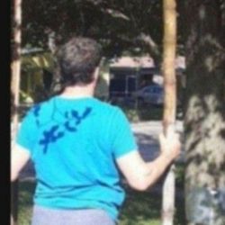 Large Bamboo Poles Various Sizes And Thickness