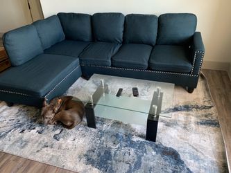Navy Blue Couch