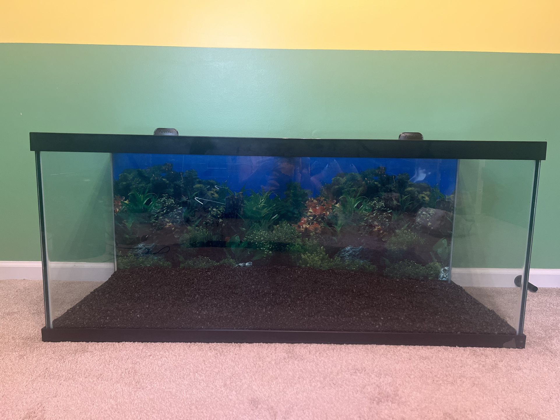 75-Gallon Tank (Lids and Gravel NOT Included) 