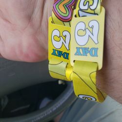 2 SUMMER SMASH WRISTBANDS 3 DAYS
