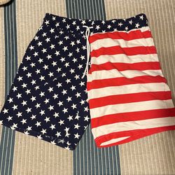 AMERICA shorts Large 