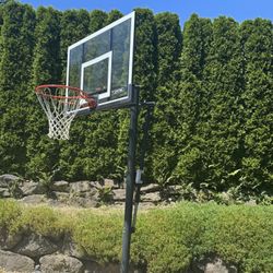 Lifetime 10ft portable Basketball Hoop