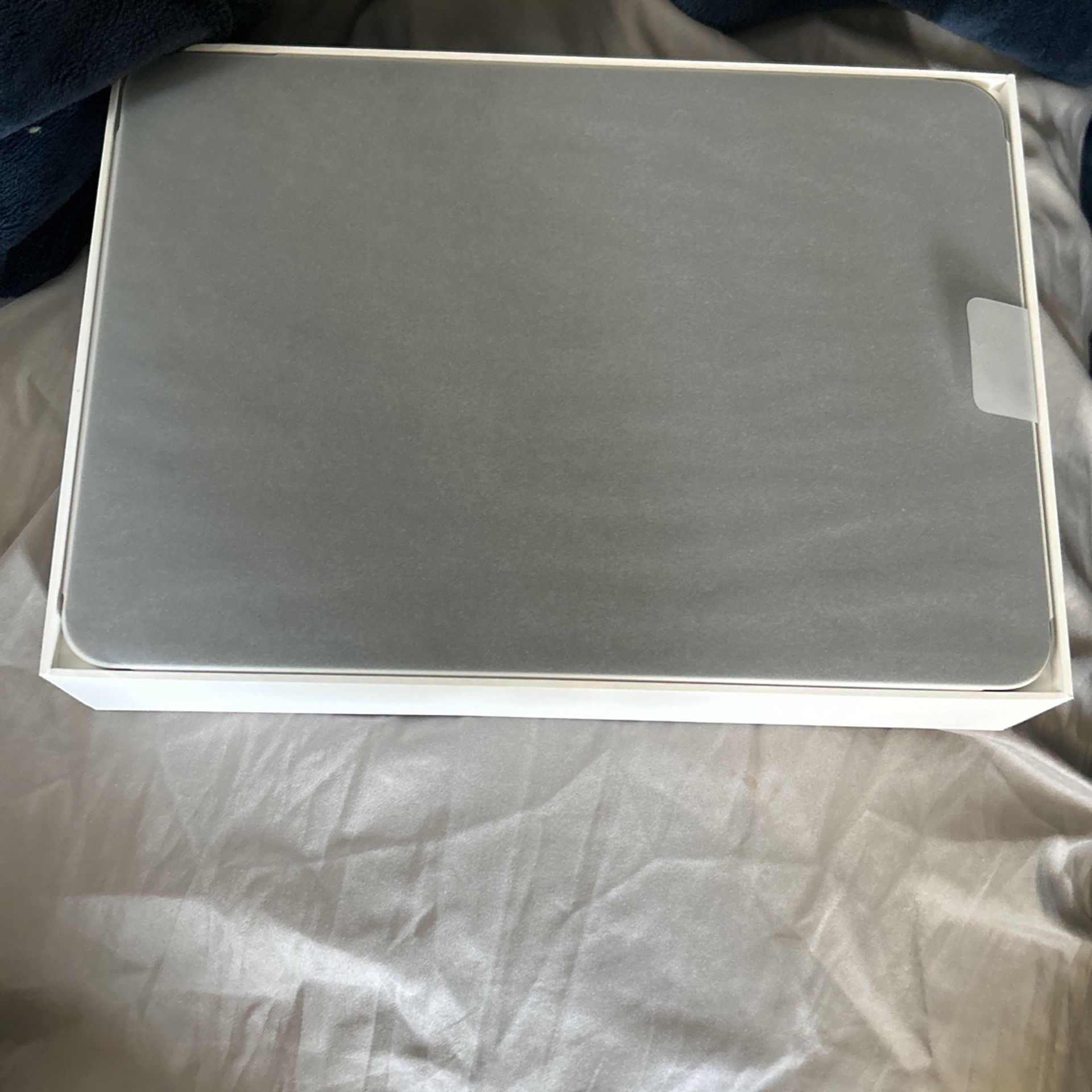 iPad Pro