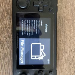 Anbernic RG 351P