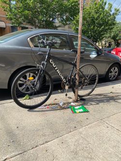 Out road bike mountain bike cruiser, commuter bicycle