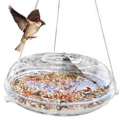 Clear Ufo Bird Feeder