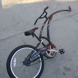 Adam's Trail-A-Bike