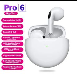 Ear Pro 6 