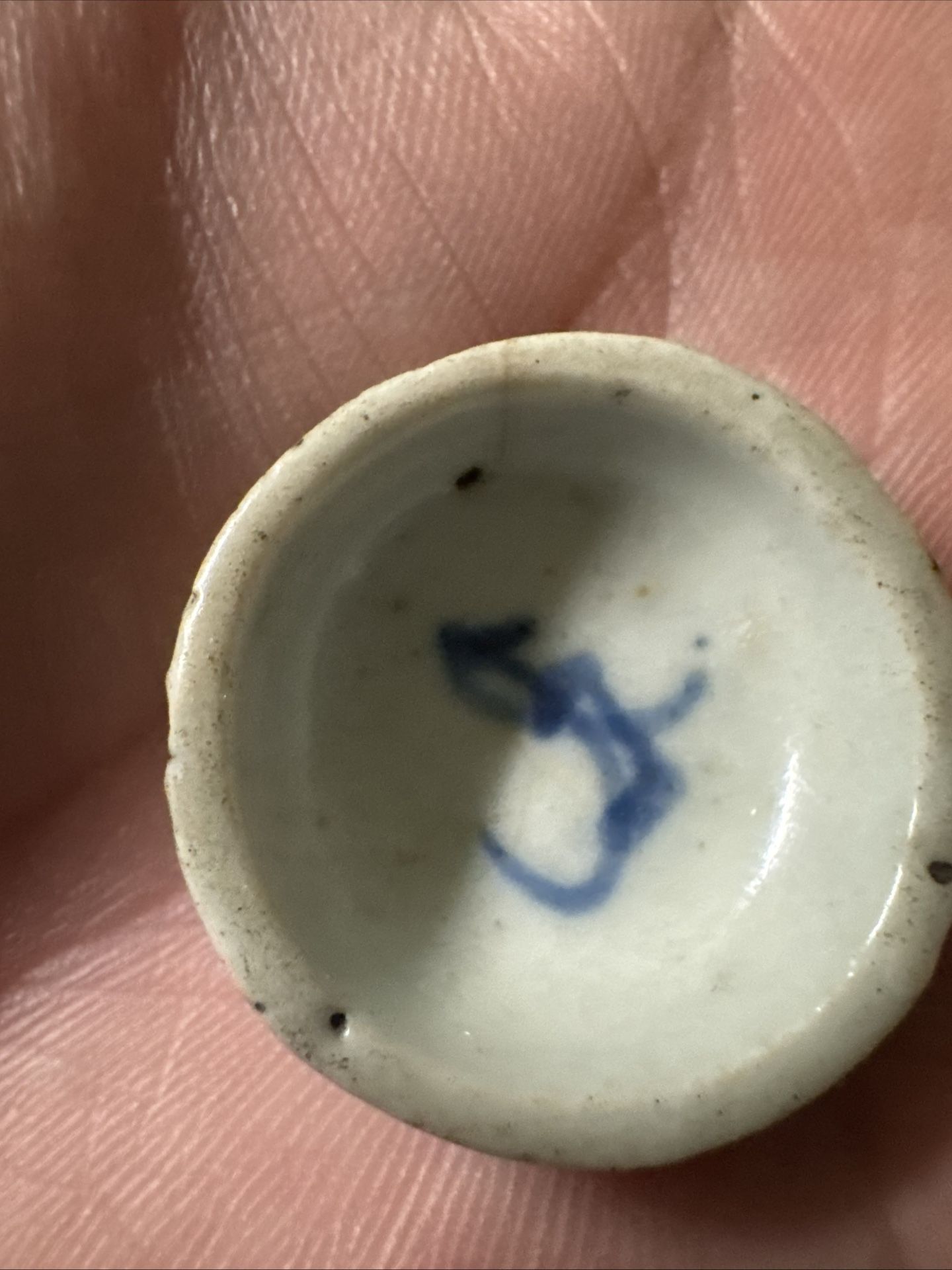Antique Miniature Blue-WhitePorcelain Bowl Chinese CricketKeeping