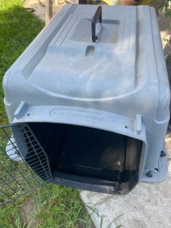 Caja para 🐶 dog