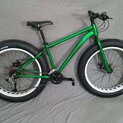 "Xmas Special" GRAVITY BULLSEYE FAT TIRE