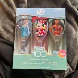 Disney 100 Wet brush 