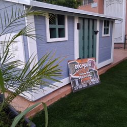 Dog House 