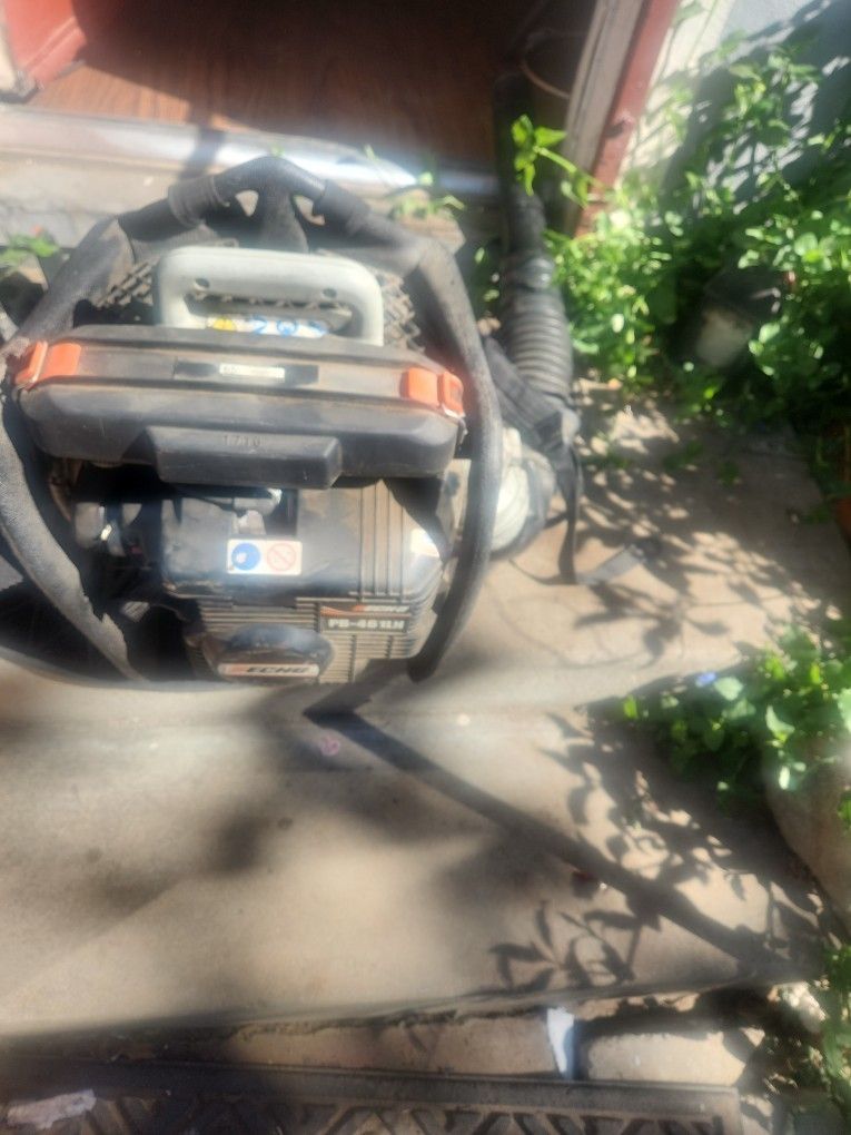 Echo Leaf Blower