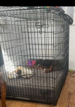 XXL Wire Dog Kennel/Crate