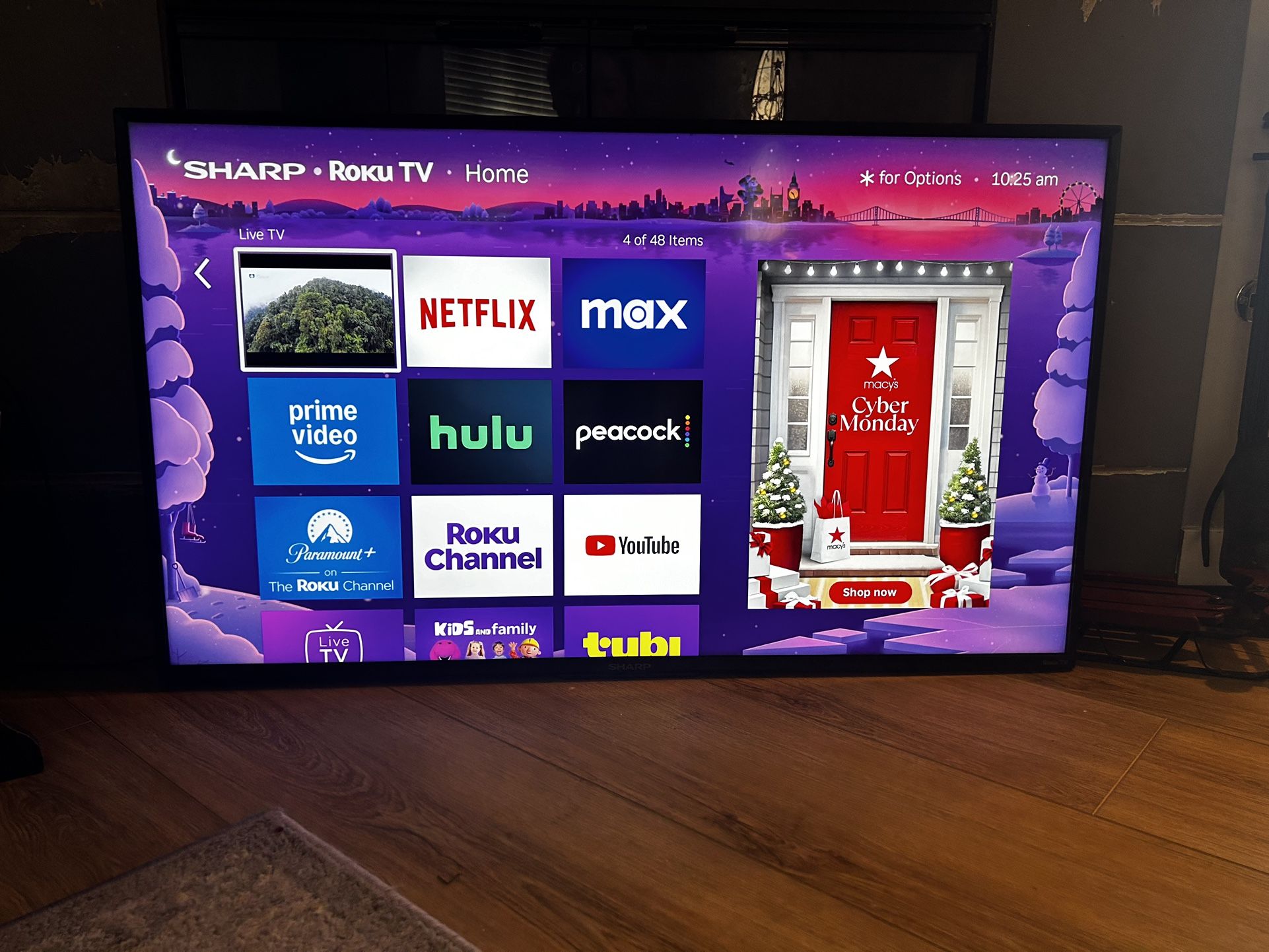 43” Roku TV w/TV Mount