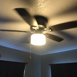 Ceiling Fan