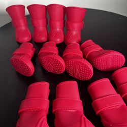 Red Canada Pooch unlined wellies